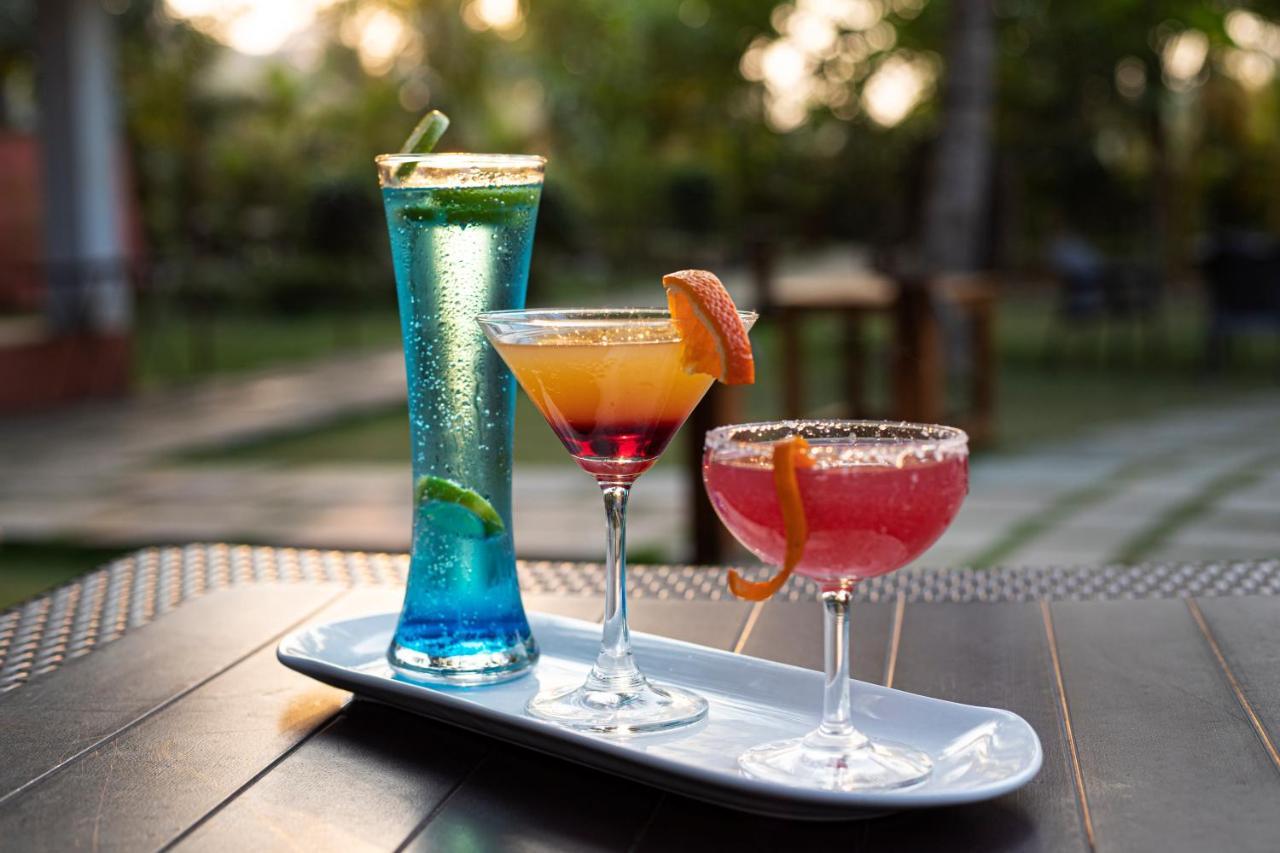 Wild Berry Resort Agonda Canacona Exterior foto