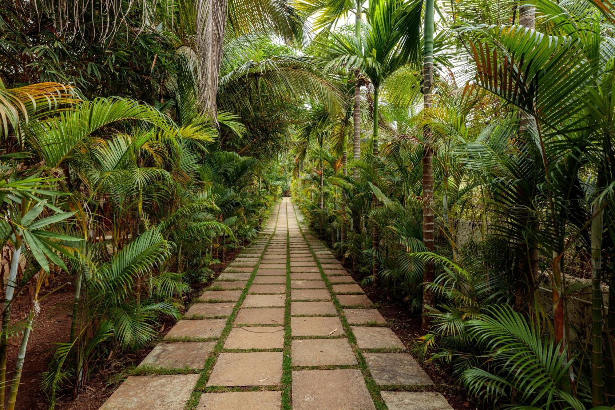 Wild Berry Resort Agonda Canacona Exterior foto